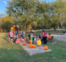 Pumkin carving for the kids.