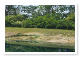 Our pond here at Wooded Acres Campground